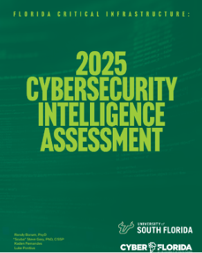 Florida CI: 2025 Cybersecurity Intelligence Assessment